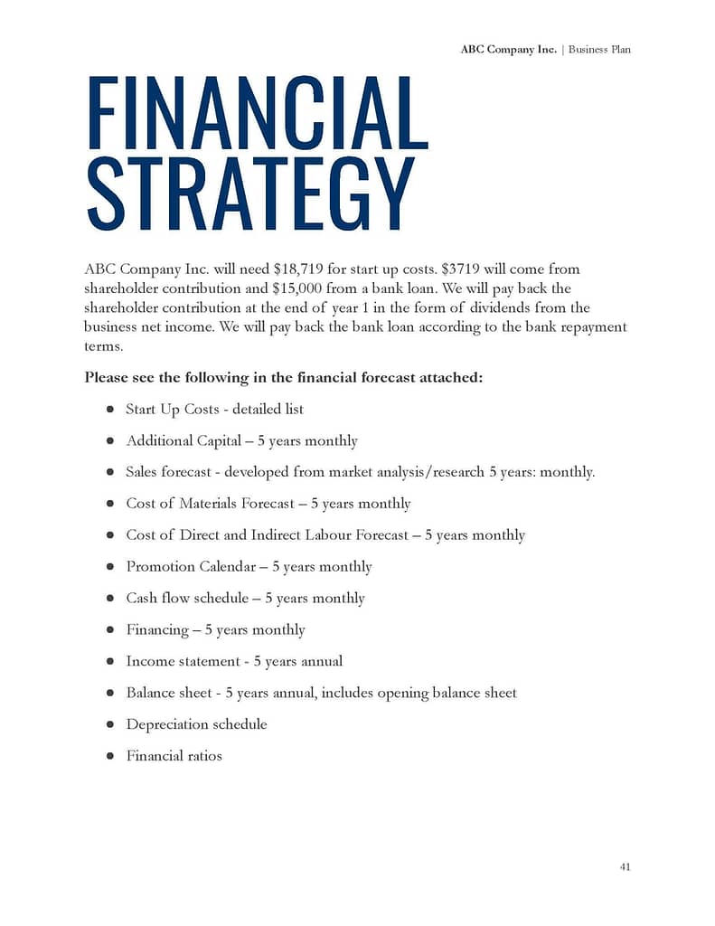 financial strategy business plan